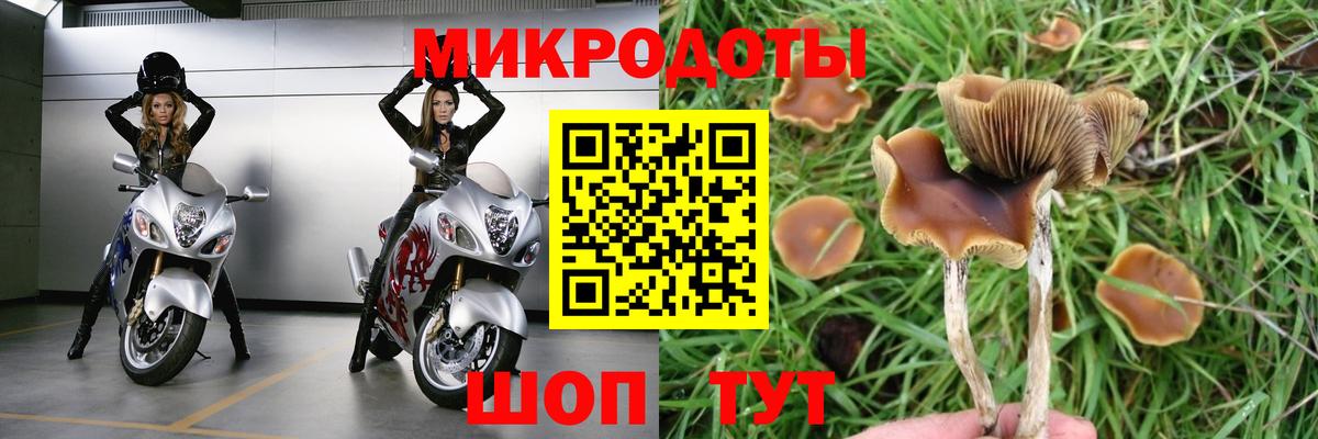 Псилоцибиновые грибы ЛСД  Вход с VPN  Верхняя Салда 